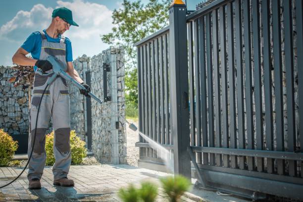 Best Roof Washing  in Pea Ridge, FL