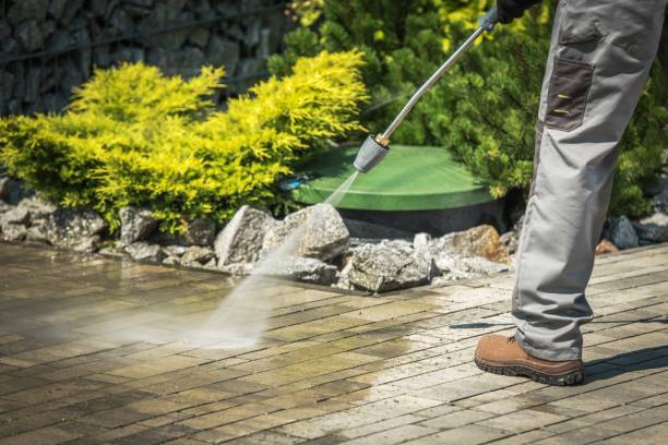 Best Solar Panel Cleaning  in Pea Ridge, FL