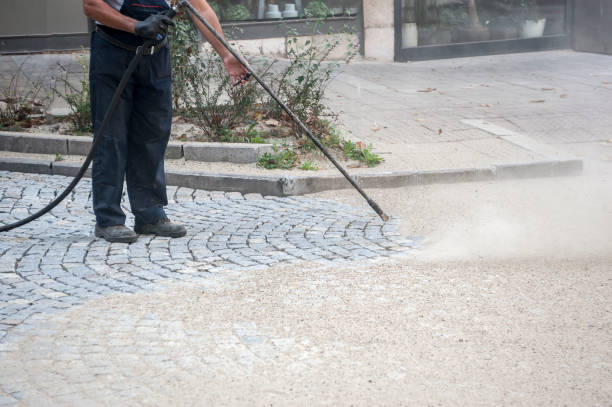 Best Patio and Deck Pressure Washing  in Pea Ridge, FL