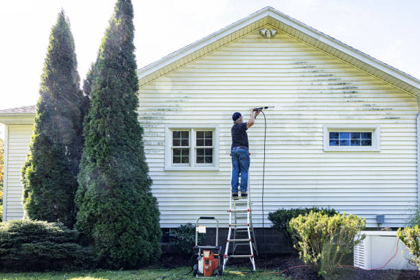 Best Spring Cleaning  in Pea Ridge, FL